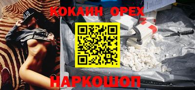 гашик Кингисепп