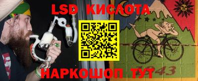 гашик Кингисепп