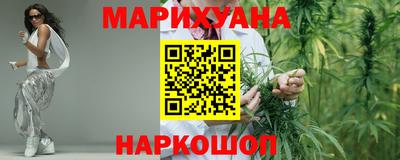 гашик Кингисепп