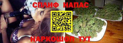 гашик Кингисепп