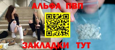 гашик Кингисепп