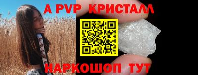 гашик Кингисепп