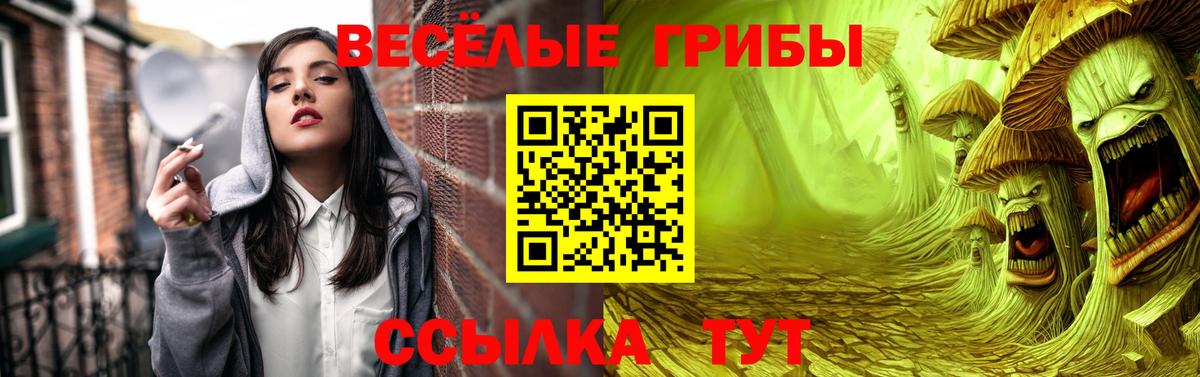 Жигулёвск  Псилоцибиновые грибы ЛСД  Вход с VPN 